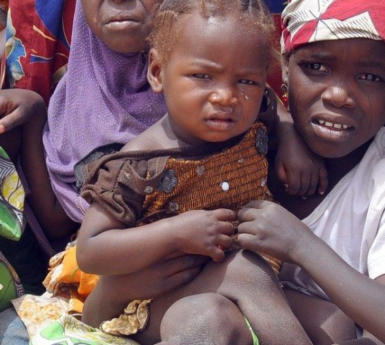 Au Nigéria, des orphelins déplacés vendus sur les marchés noirs